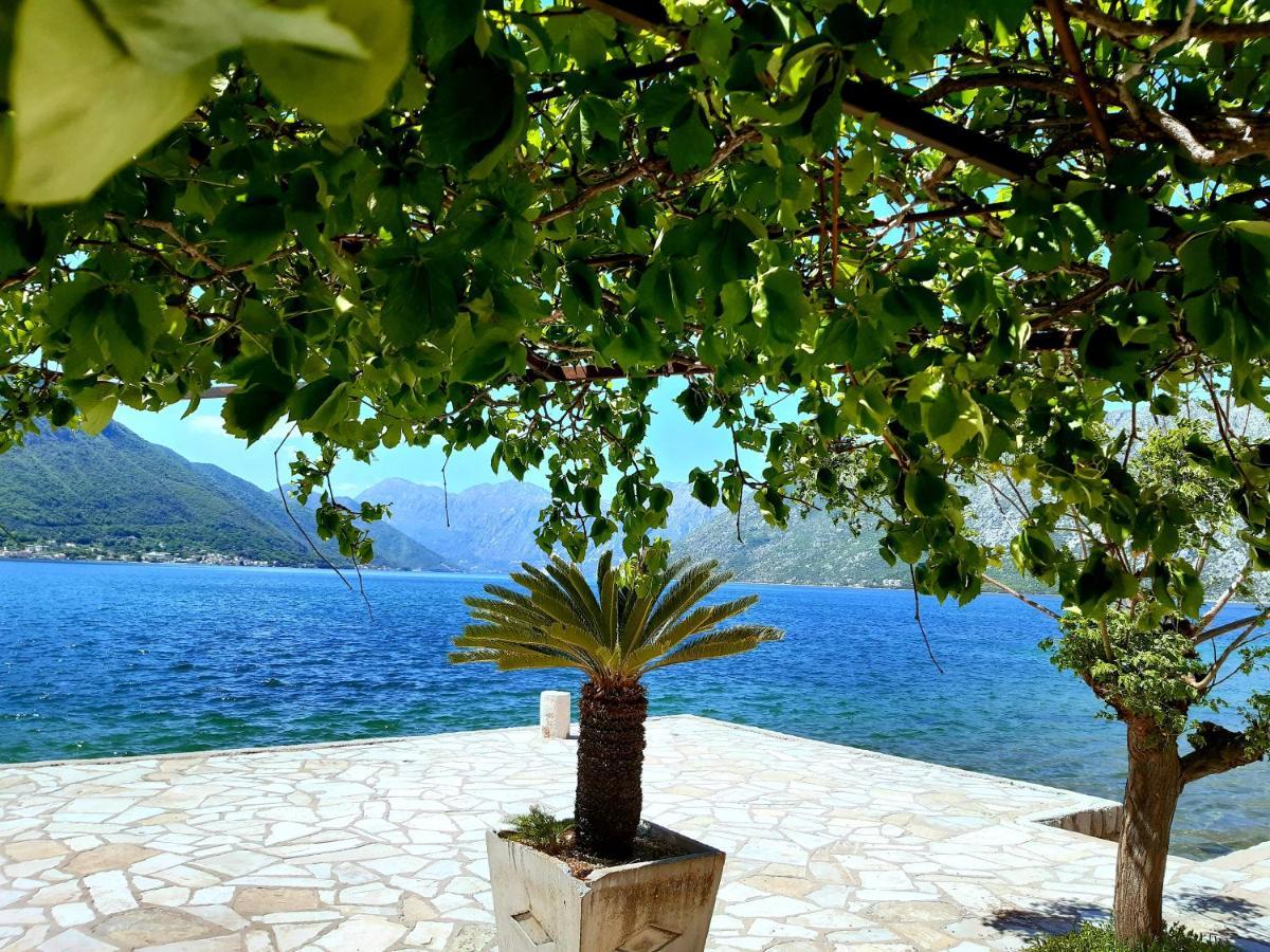 Apartments Sonja Κότορ Εξωτερικό φωτογραφία